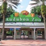 Audubon Zoo