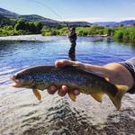 Provo River