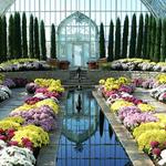 Como Park Conservatory - St. Paul