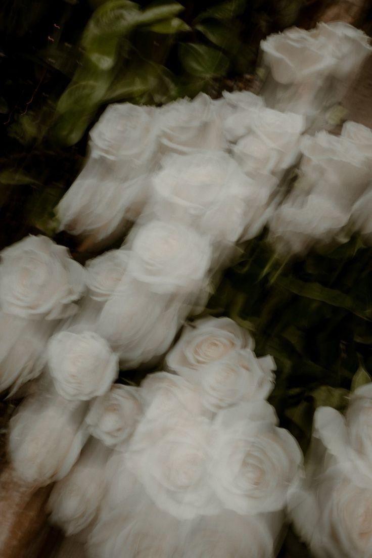 The Wedding Website of Jorge Arceo and Leslie Oseguera