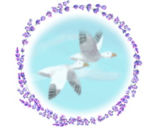 The Wedding Website of Anna Flora Rasmussen and Reed Johnston Morgan