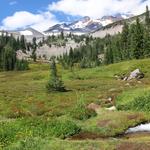 Squaw Meadow Trail