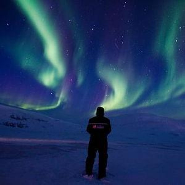 Svalbard and Tromsø Honeymoon