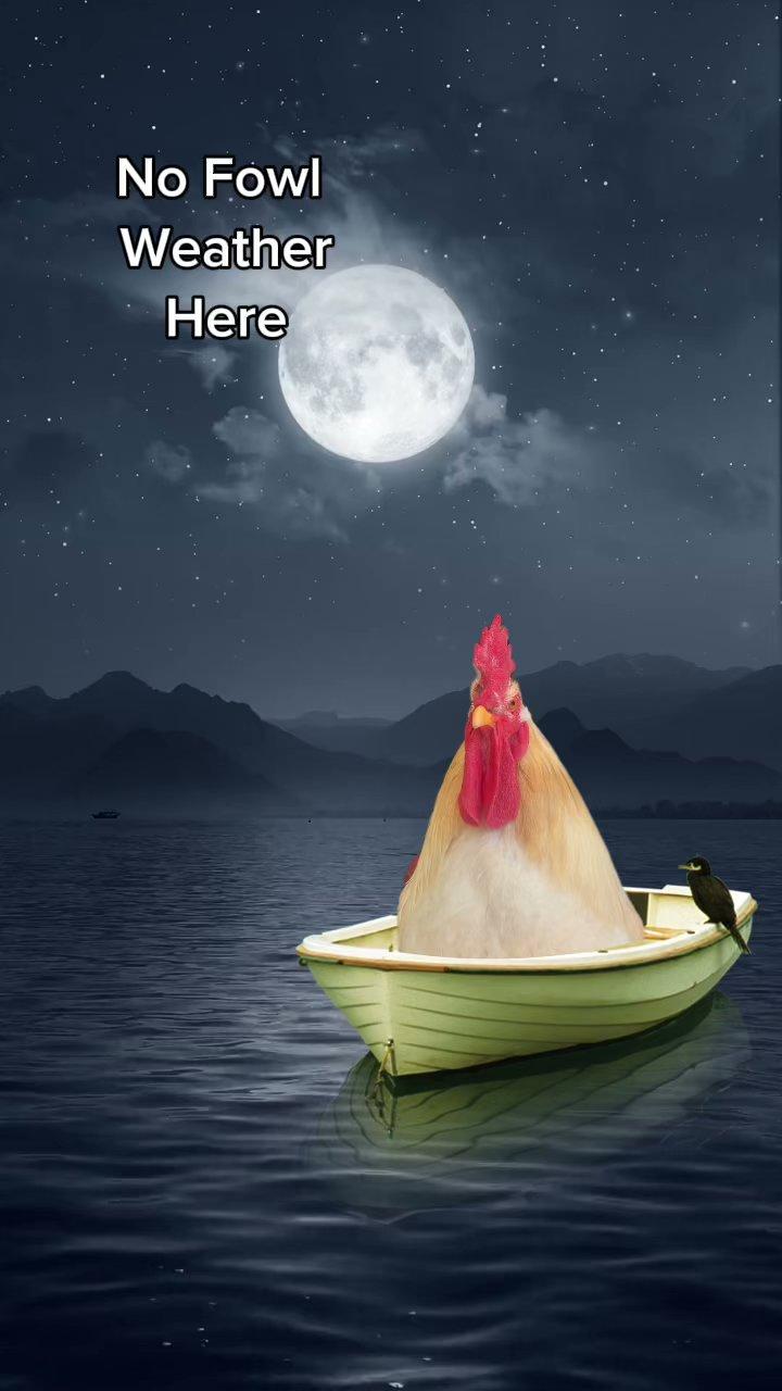 The Wedding Website of Catherine Matson and Mark Jochems