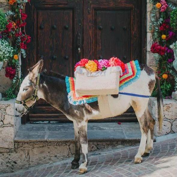 Our VIP wedding guest