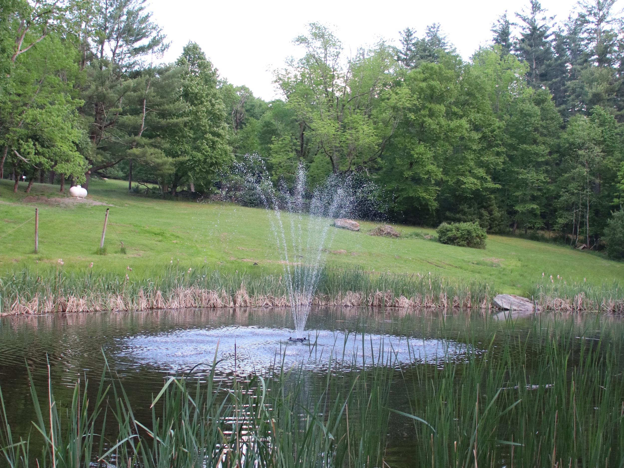 The Wedding Website of Kayla Juvet and Nils Aspengren
