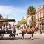 Charleston Horse-Drawn Carriage Tours