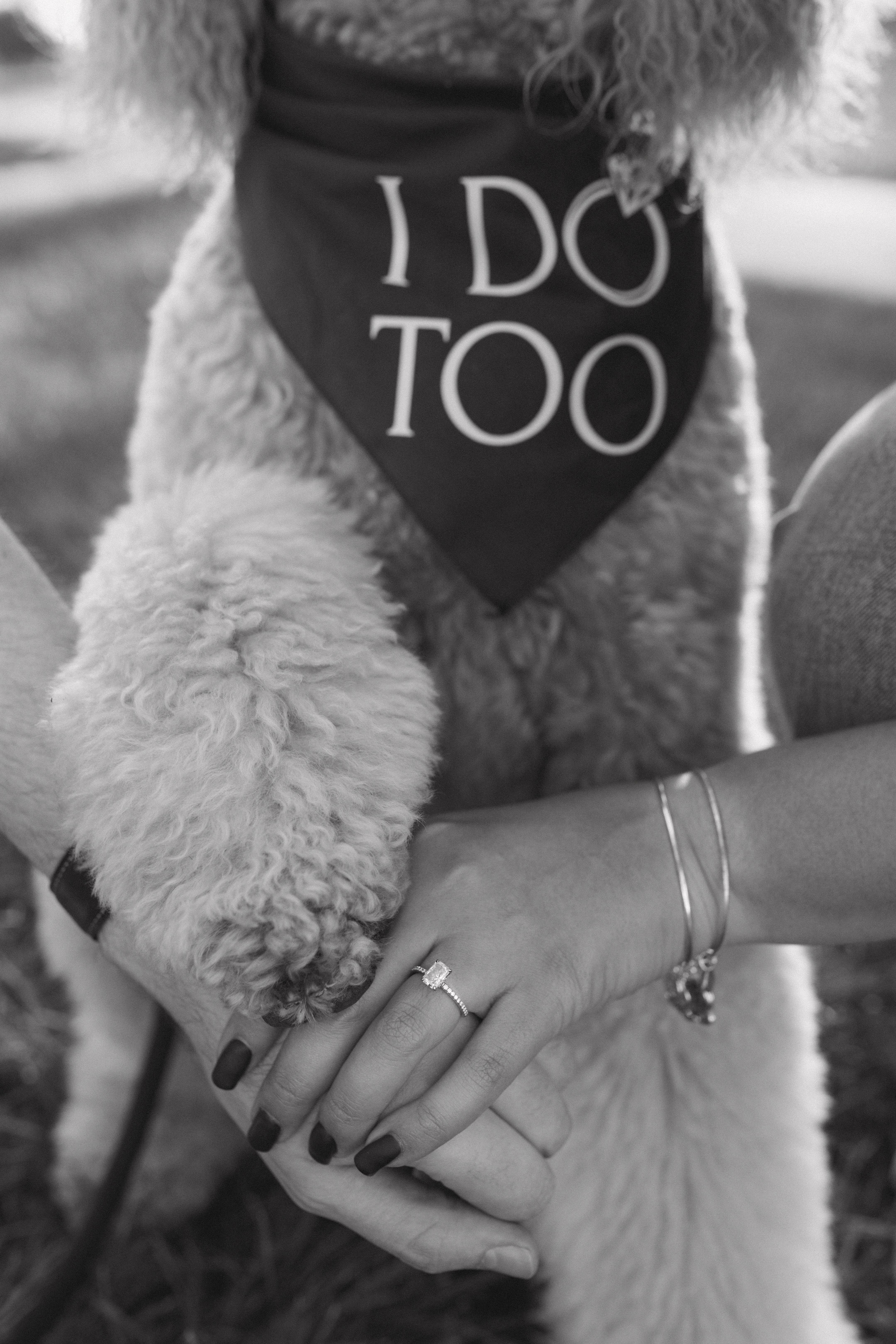 The Wedding Website of Marissa Shartel and Ryan Pigg