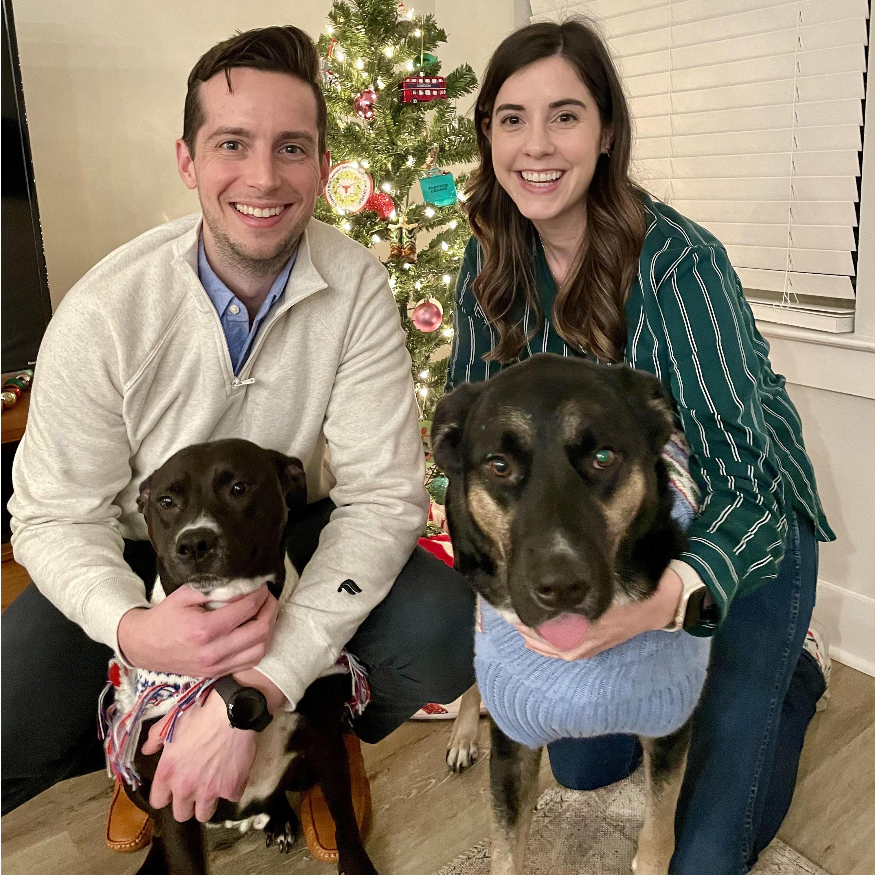 The dogs love their Christmas sweaters!