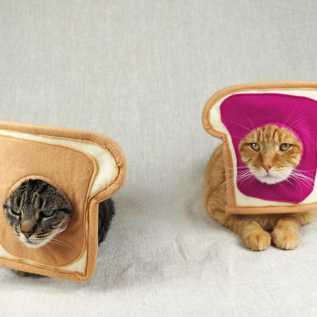 Peanut Butter and Jelly Couples Costume for Cats