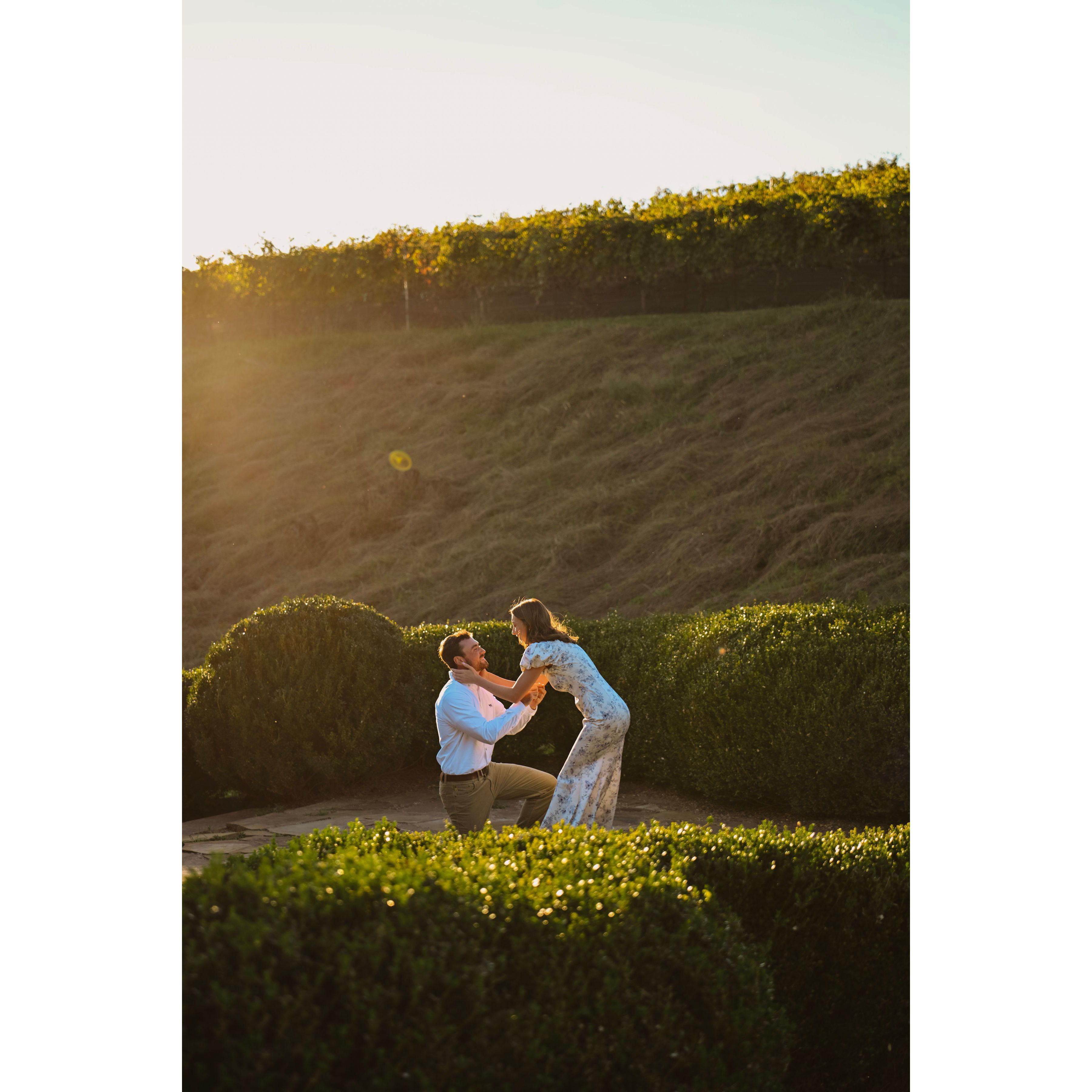 10.12.2024 - We got engaged at Montaluce Winery!