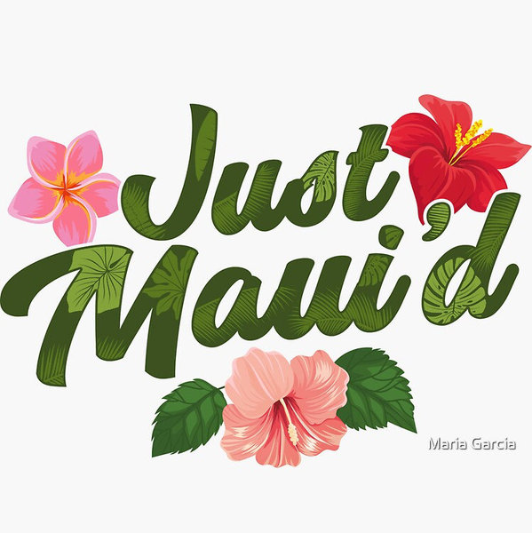 Maui Honeymoon Fund