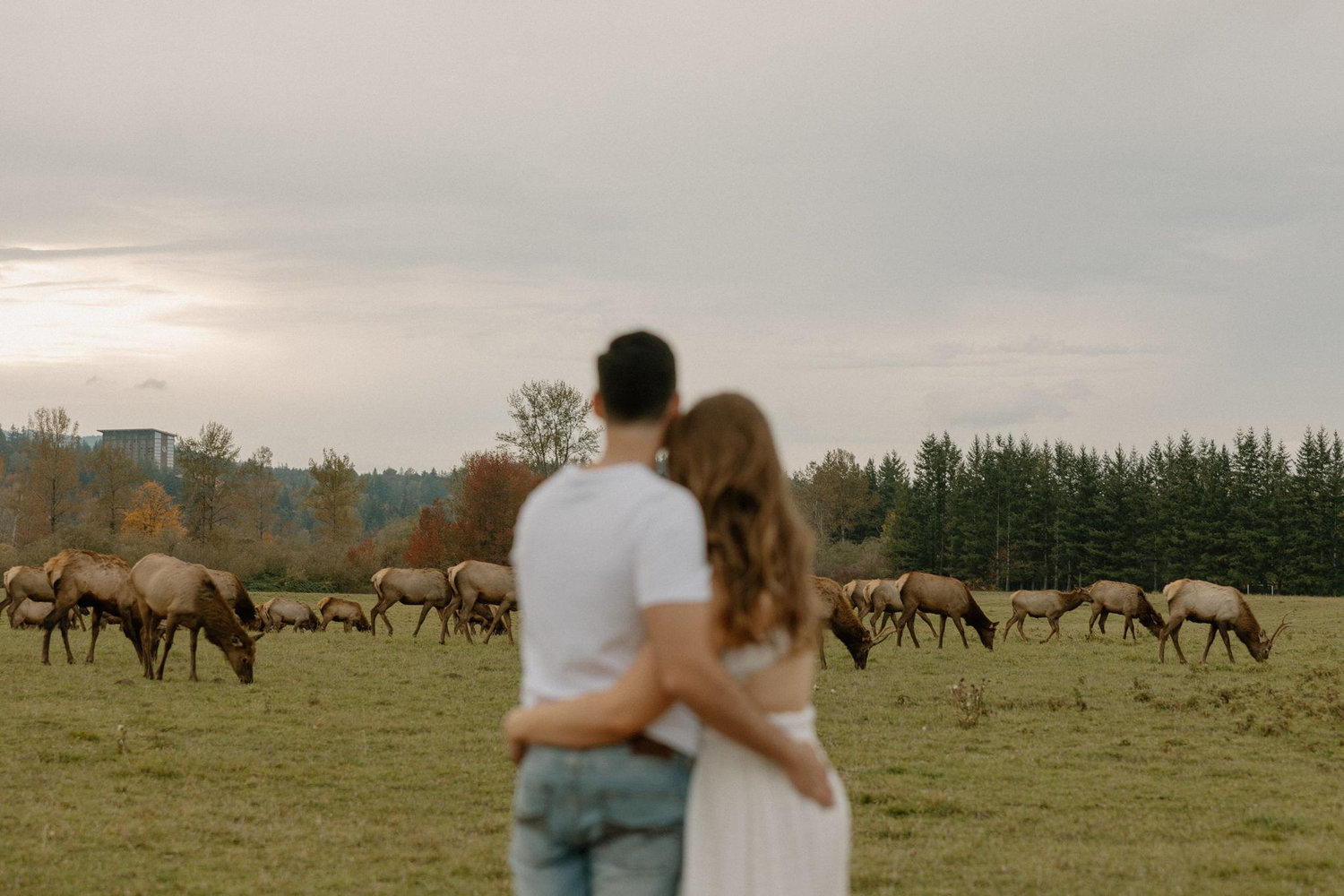 The Wedding Website of Anika Christofferson and Evan Ashcraft