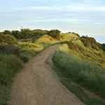 Paseo Miramar Trail