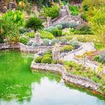 Japanese Tea Garden