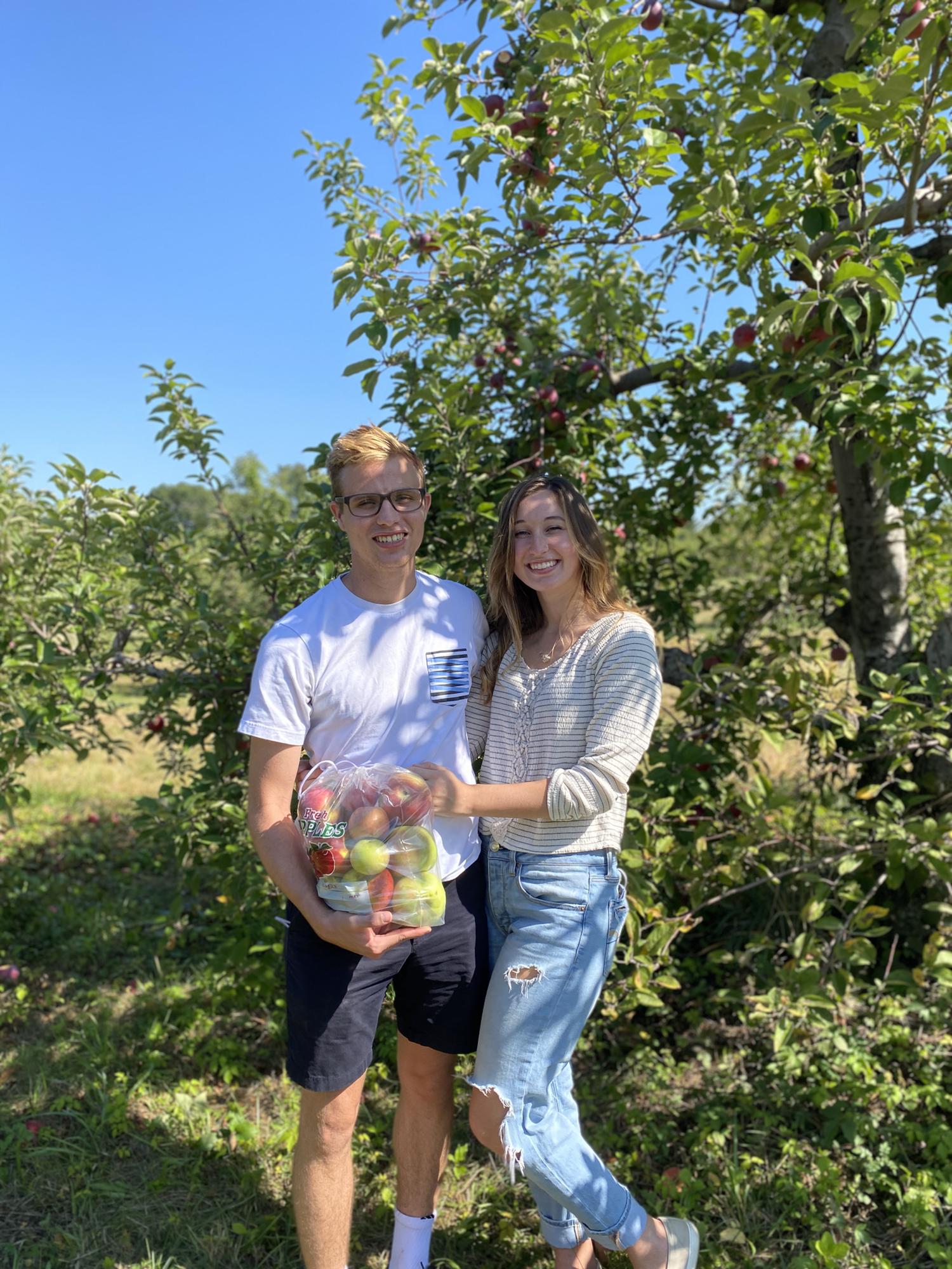 Apple Picking 2020