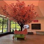 Cherry Blossom Welcome Center