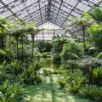 Garfield Park Conservatory