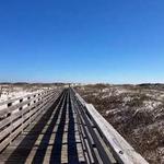 Gulf State Park