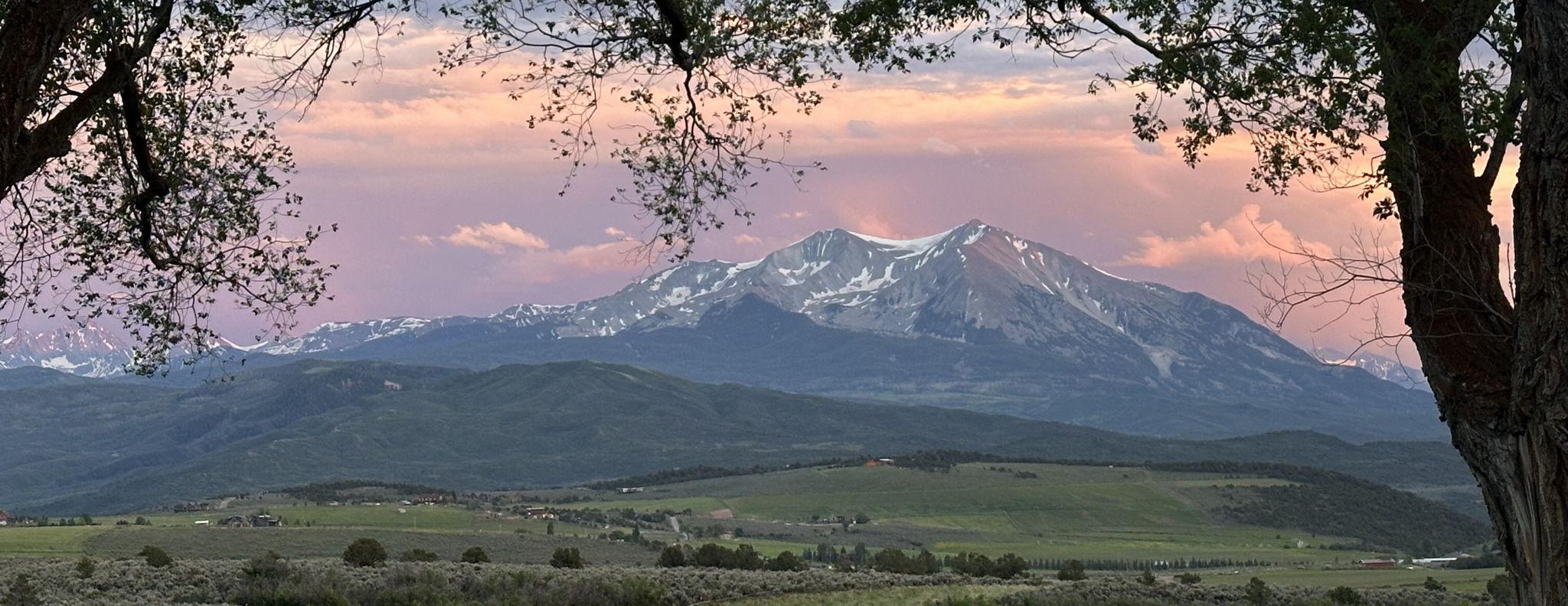 The Wedding Website of Margot Balliet and Muhammad Khan