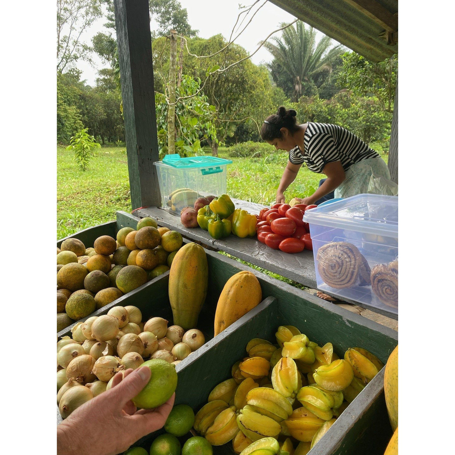 Fruit stand of Exotic fruits.