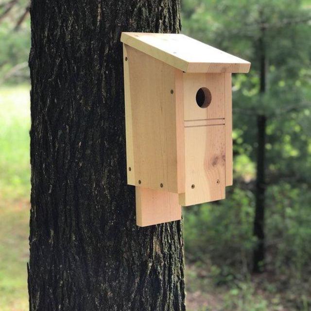 blue bird house nesting box, durable outdoor wooden bird habitat