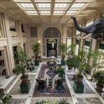 George Eastman Museum