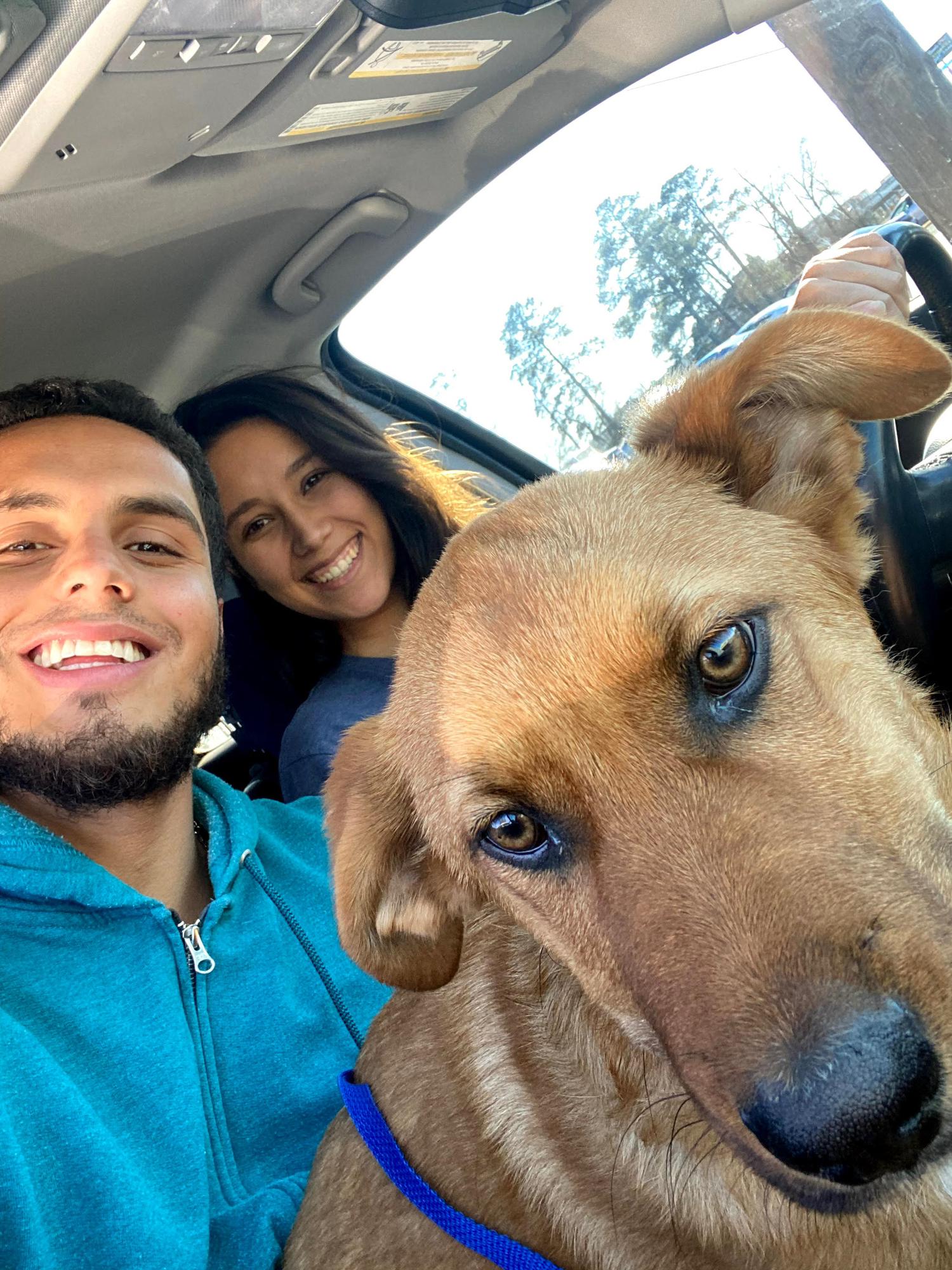 03/03/21 - Welcome to our family, Canelo! Bienvenido a nuestro familia, Canelo!