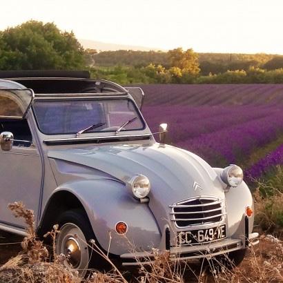 Honeymoon Rental Car