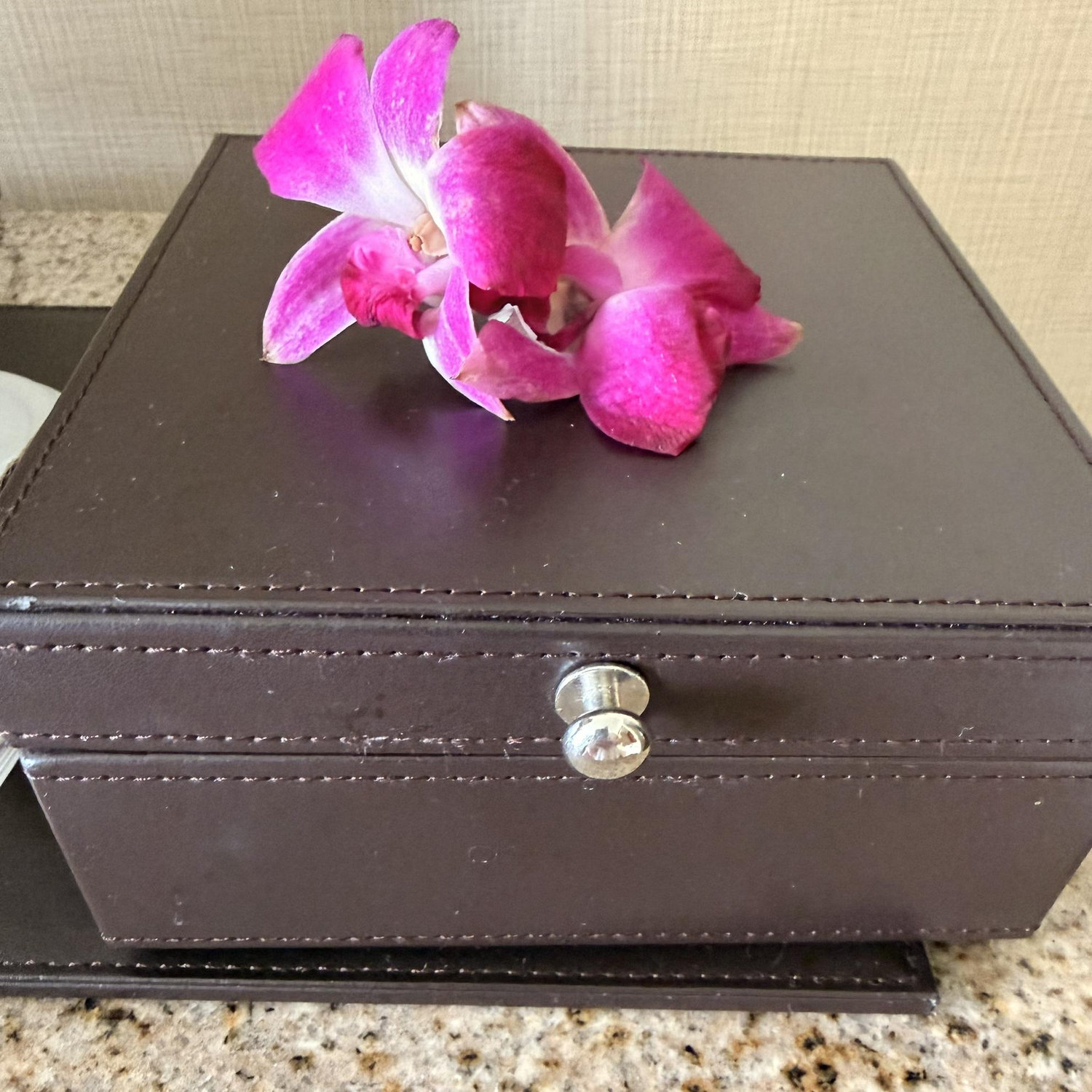 Two orchids gifted to us, along with a sweet blessing for a happy wedding day, by one of our flight attendants on our flight from Anchorage to Honolulu | 04/17/26