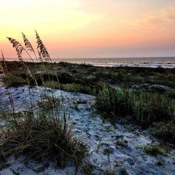 Kiawah Island Conservancy Donation