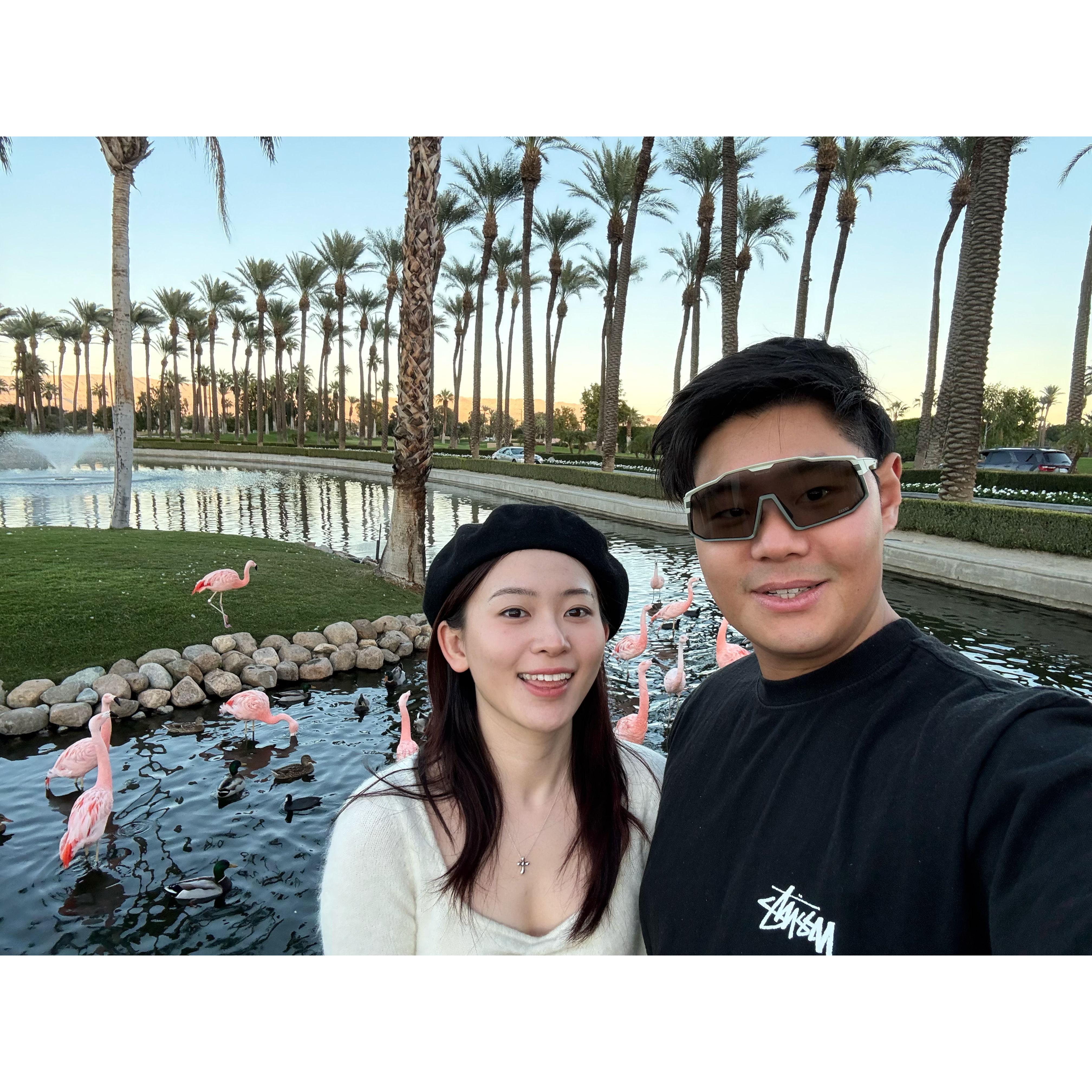 Rebecca, Adam and Flamingo🦩 in Palm Springs!