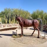 Tohono Chul | Gardens, Galleries, & Bistro