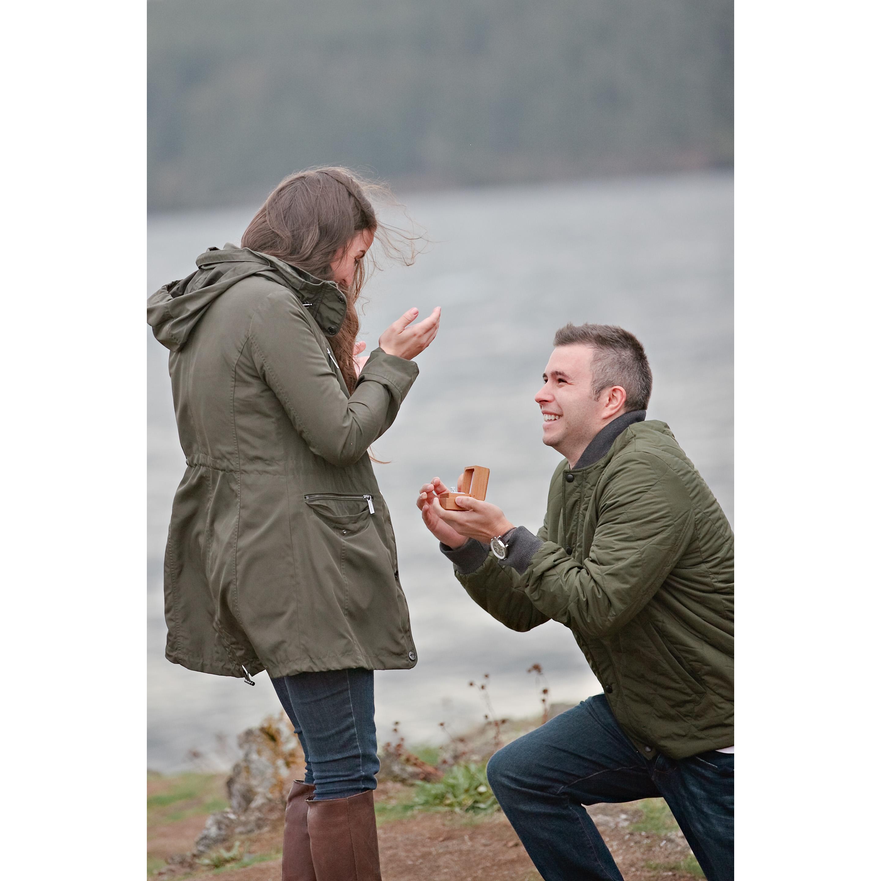 The proposal!