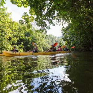 Wailua River Kayak Tour to Secret Falls