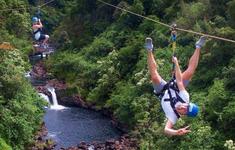 Umauma Falls Zipline & Rappel Experience