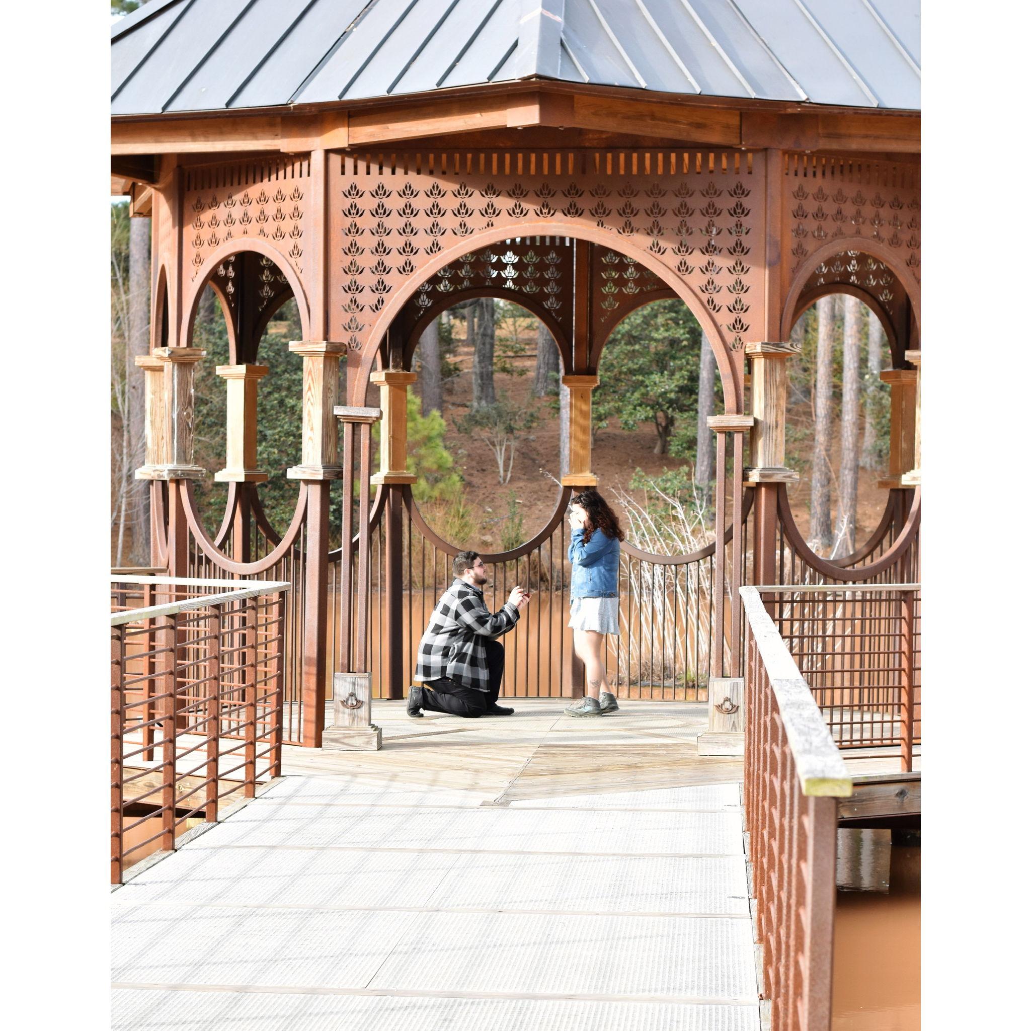 The proposal spot-- the gazebo overlooking the Duck Pond at the Botanical Gardens