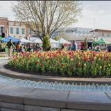 Bentonville Farmer's Market