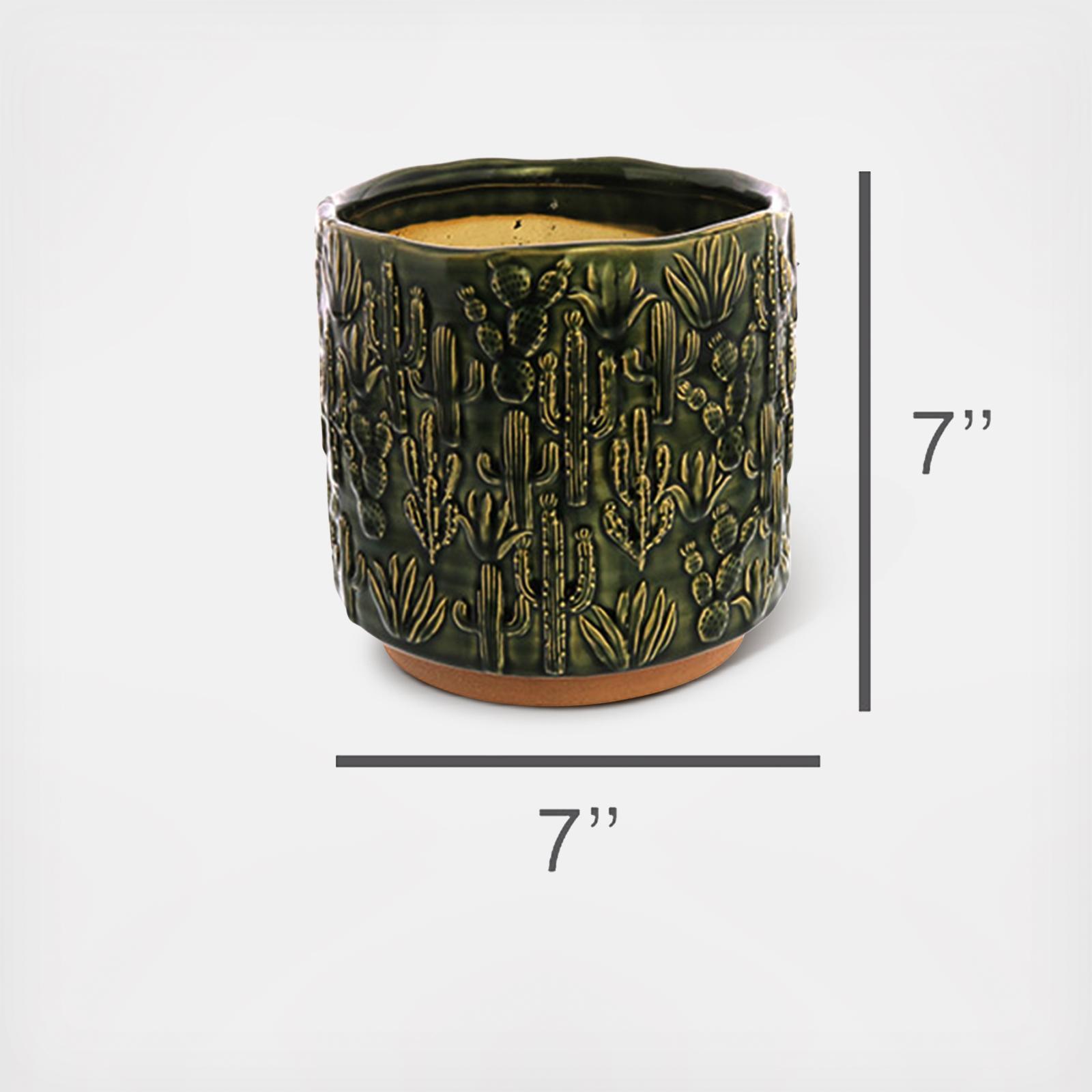 HomArt, Cactus Large Motif Cachepot, Set of 2 | Zola