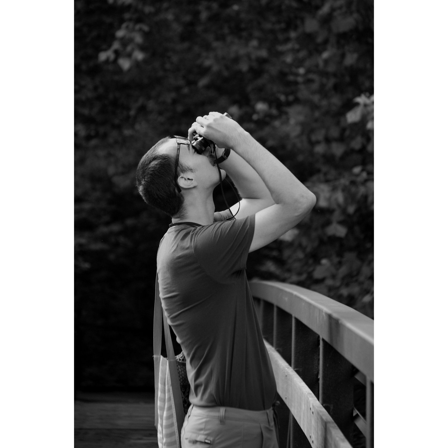 Looking for birds