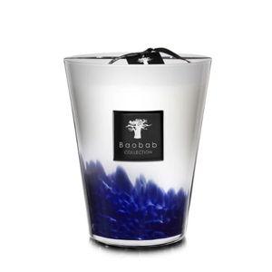 Baobab Scented Candle