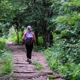 Hikes in the Great Smoky Mountains