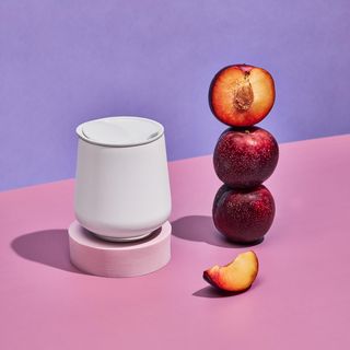 Ruby Wine Tumbler