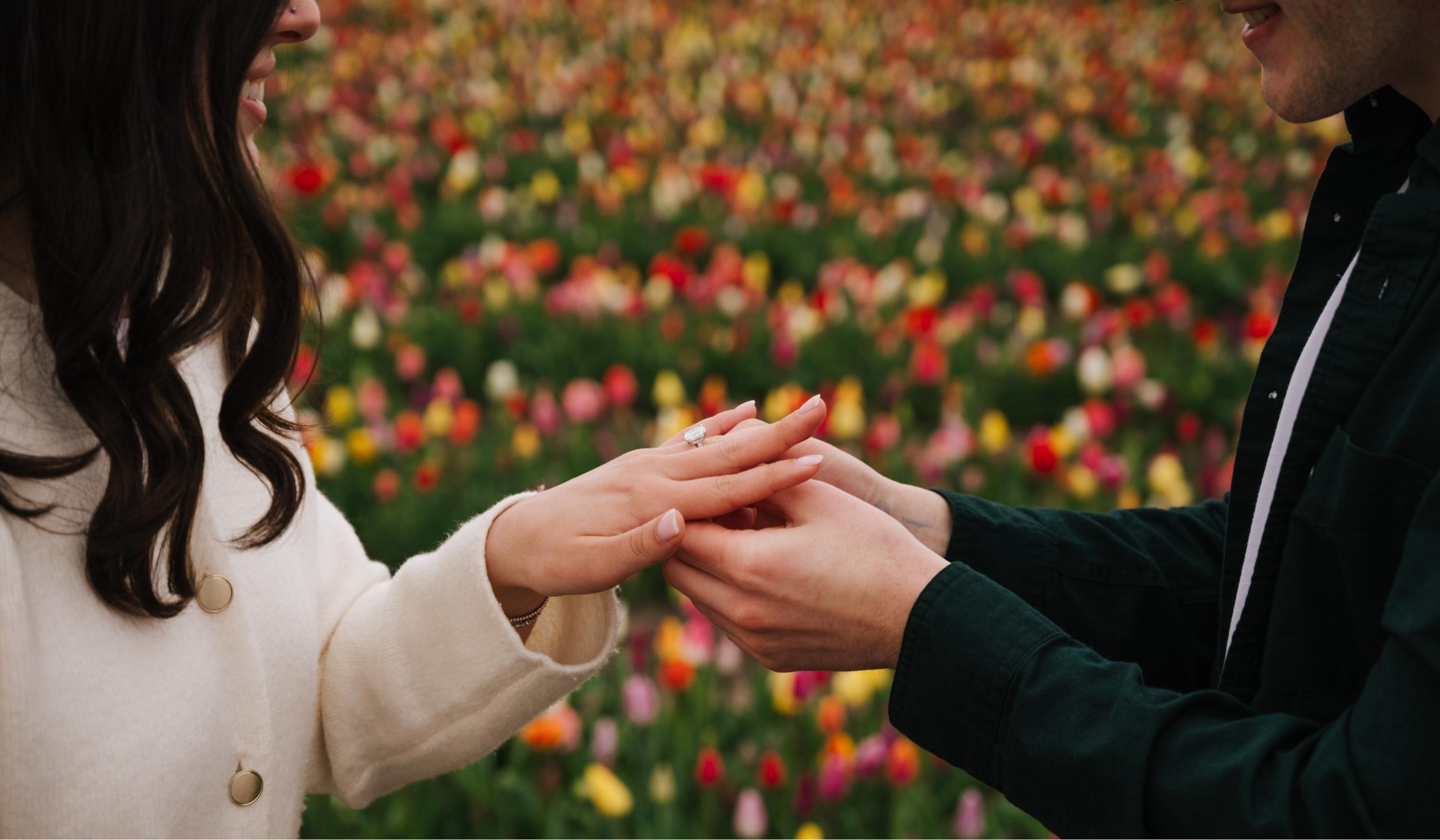 Hero Slideshow Image 4