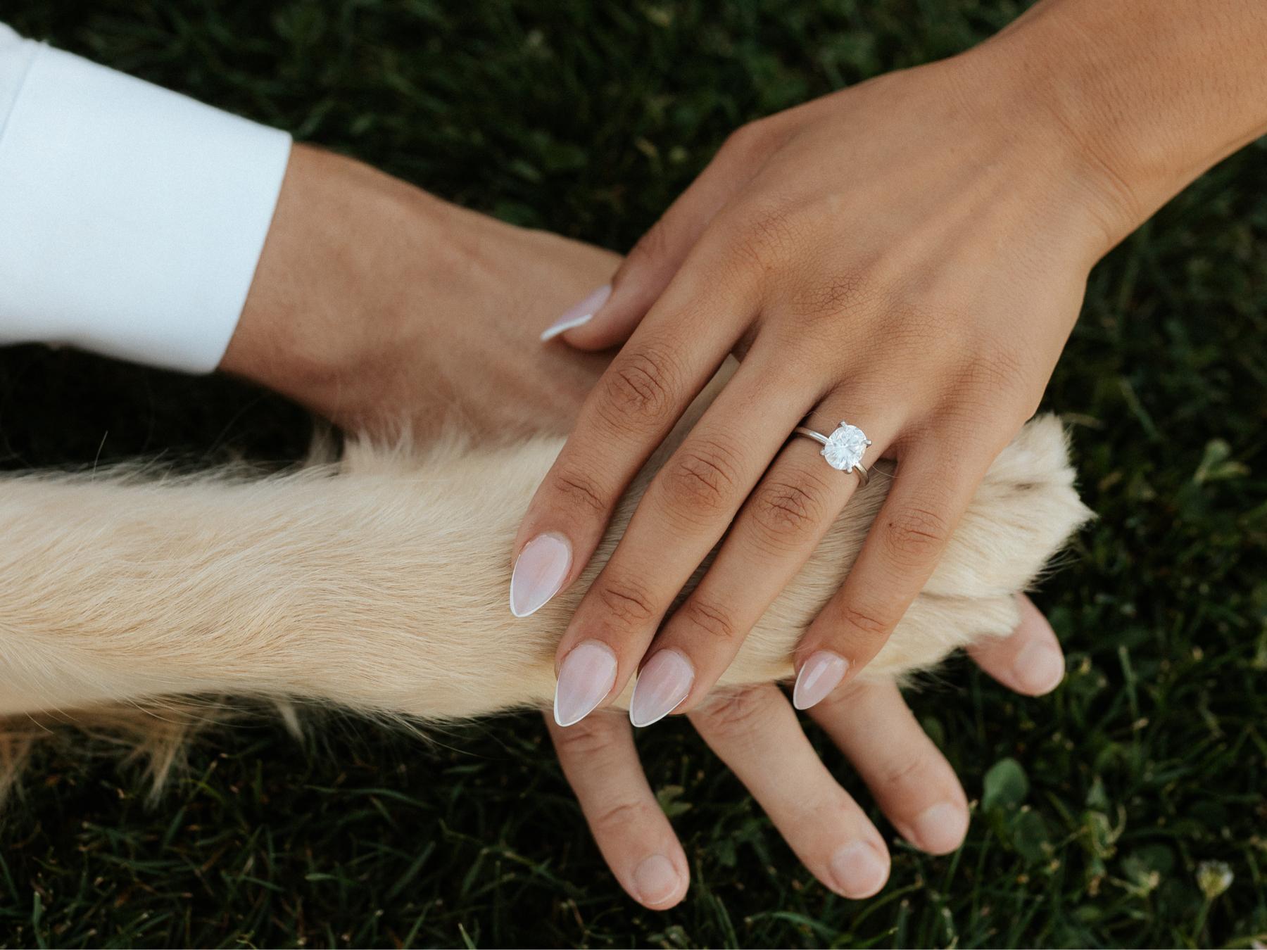 The Wedding Website of Veronica LaPierre and Drayton  Carlberg
