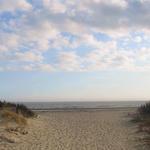 Sullivan's Island