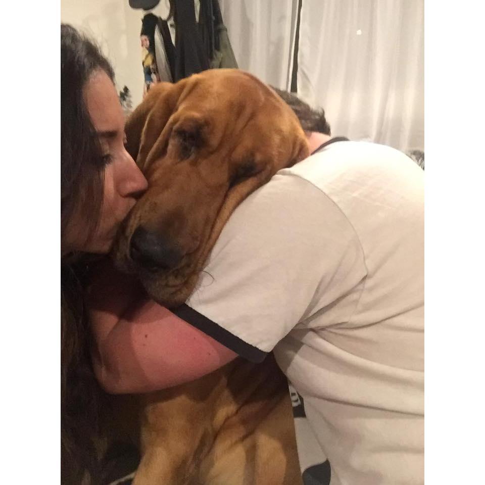 Suffocating our pup with love