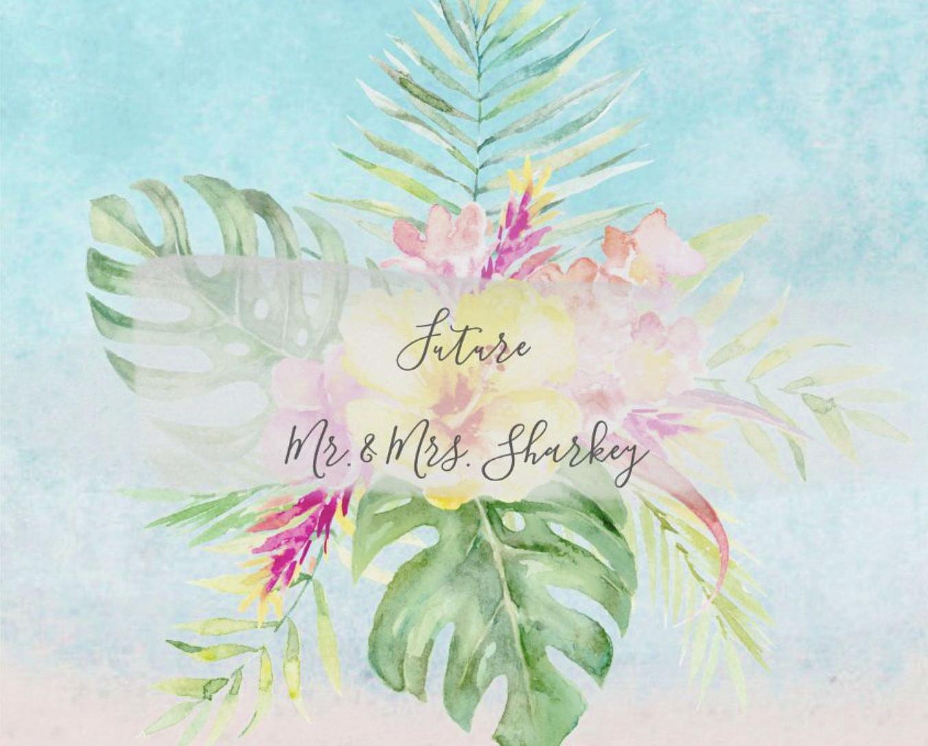 The Wedding Website of Hannah Bloch and Eric Sharkey