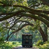 Downtown Trolley