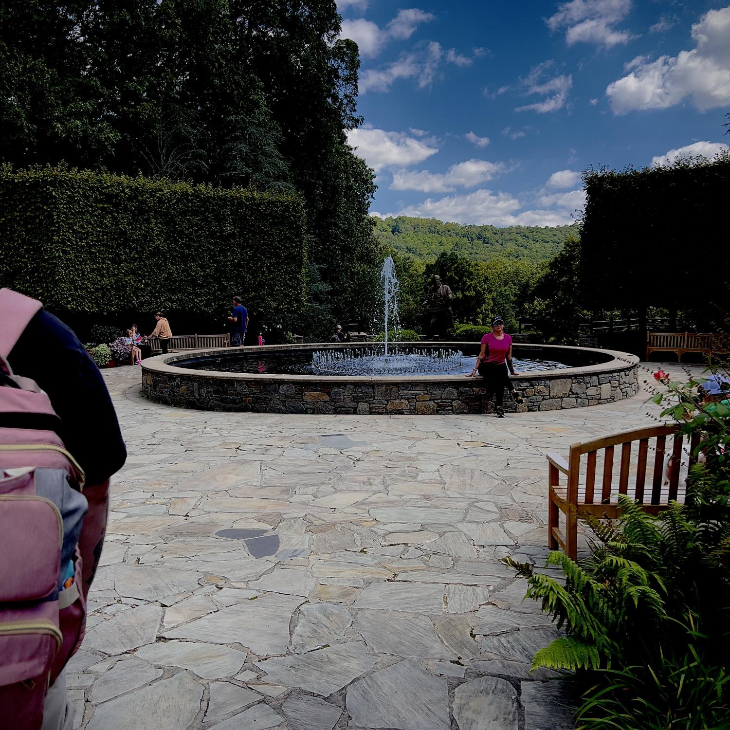 the fountain that timothy proposed beside